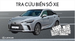 Cách tra cứu biển số xe nhanh và chính xác nhất