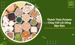 Ăn chay giàu protein nhưng tiết kiệm thời gian và chi phí: giải pháp cho người bận rộn