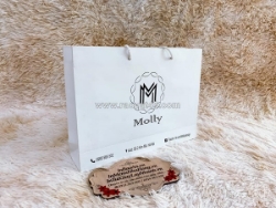 In túi giấy thời trang, in túi giấy shop, in túi giấy giá rẻ