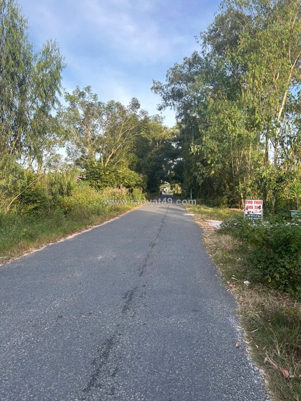 ~/Img/2026/1/ban-10m-x-70m-dat-tho-cu-duong-cu-chinh-lan-lagi-gia-ngop-160trm-ngang-02.jpg