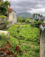 Bán đất diện tích lớn – xã hồng thái đông, tx đông triều, quảng ninh