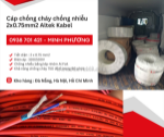 Cáp chống cháy chống nhiễu 2 lõi 0.75mm2 aktek kabel huế, quãng ngãi, bình định