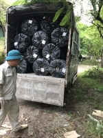 Chuyên bán buôn, bán lẻ vật tư cầu đường thủ tục nhanh gọn