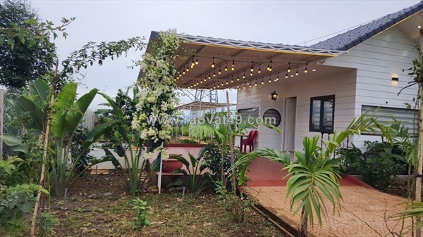 ~/Img/2026/1/nha-vuon-nghi-duong-mat-tien-chinh-tinh-lo-724-tan-hoi-lam-dong-02.jpg