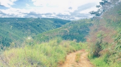 4,6 sào đất ninh gia, đức trọng cũ, lâm đồng, oto, xe tải vào tận nơi