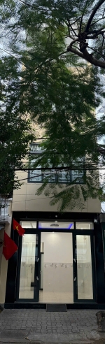 Khai xuân đầu năm – cho thuê nhà nguyên căn mặt tiền đường trần nguyên hãn, nha