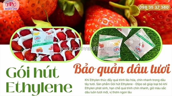 ~/Img/2026/3/giai-phap-goi-hut-khi-ethylen-giup-bao-quan-dau-tuoi-lau-hon-02.jpg