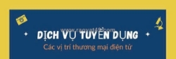 Tuyển nv seller support executive có kn ngành thương mại điện tử