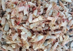 Chuyên bán bột vỏ tôm khô số lượng lớn 0937392133 ms.hằng