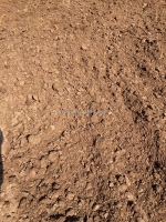 Cung cấp xác mắm phơi khô số lượng lớn 0937392133 ms.hằng