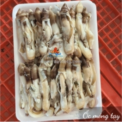 Giá thịt ốc móng tay