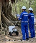 Huyệt đạo dưới gốc đa già ở nghệ an