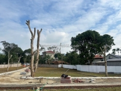 Bắt đúng nhịp mua – nắm trọn dư địa tăng giá - cơ hội đầu tư chỉ bắt đầu từ 300