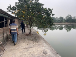 Đất đẹp - giá tốt chính chủ – chính chủ cần bán mảnh đất diện tích 6480m2 xã