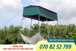 Cách thu hút dơi hiệu quả nhất với máy gọi dơi thu hút dơi về chòi