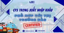 Cfs trong xuất nhập khẩu - phù hợp với thị trường nào?