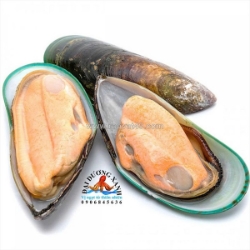 Giá trị dinh dưỡng trong các món ngon từ vẹm xanh