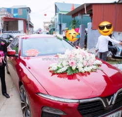 Lux a2.0 turbo pre – đỏ sang trọng – giá chỉ 540 triệu