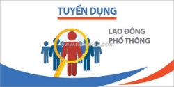 Tuyển lđpt sơ chế, định hình, đóng gói há cảo bánh bao