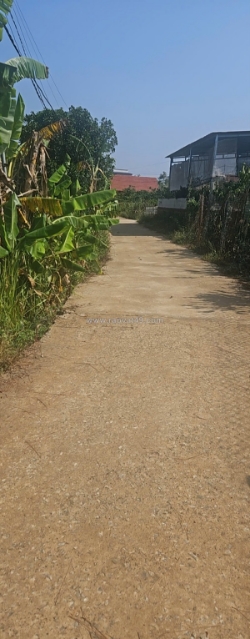 6,9 sào khu biệt thự nghỉ dưỡng, thuộc gia lâm, nam ban, lâm hà