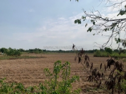 Đất mặt tiền - hưng long, đa phước, bình chánh 15000m² chỉ 70 tỷ,