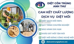 Công ty diệt mối uy tín, đảm bảo hiệu quả, giúp tiết kiệm chi phí