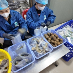 Shop nước sâm cô em tuyển lđpt làm tại thủ đức lãnh lương tuần