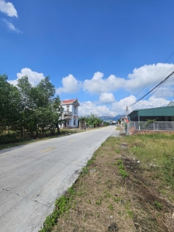 Bán đất tại hoàng tiến, chí linh - nếu đang tìm và có tiềm năng phát triển mạnh