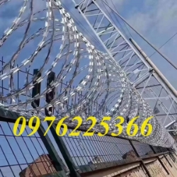 Dây thép gai lưỡi dao đường kính d30, d45, d60, d80