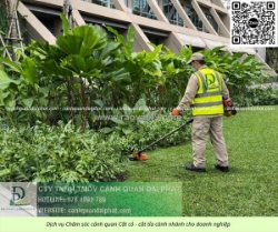 Dịch vụ cắt cỏ – phát hoang an toàn, nhanh chóng kcn long thành – tp đồng nai