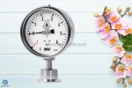Đồng hồ áp suất màng wise p752s chính hãng: giải pháp đo áp suất hiệu quả cho công nghiệp | dantek