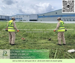 Giải pháp chăm sóc cây xanh – vệ sinh cảnh quan kcn amata biên hòa đồng nai