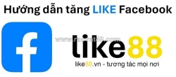 Like88.vn - nền tảng chuyên cung cấp dịch vụ tăng like, vip like, tăng follow uy tín
