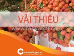 Thủ tục xuất khẩu vải thiều