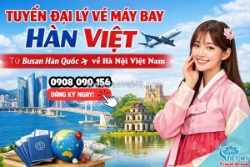 Tuyển đại lý vé máy bay hàn – việt tuyến busan – hà nội