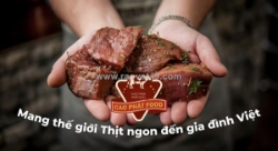 Tuyển gấp tài xế ô tô chạy xe van làm tại khu vực nội thành hcm