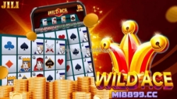 Wild ace: crown the joker, stack the kingdom