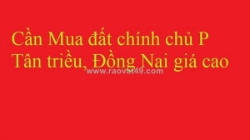Cần mua đất chính chủ p tân triều, đồng nai giá cao