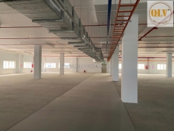 Cho thuê nhà xưởng cao tầng kcx linh trung i – thủ đức, tp.hcm – 20.800m²