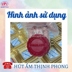 Chống mốc bánh trung thu, vì sao nên có gói chống mốc oxytoc?