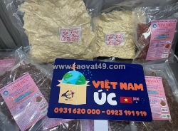 Đơn vị chuyên dịch vụ gửi hàng đi úc uy tín, đáng tin cậy, tiết kiệm chi phí và hiệu quả