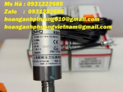Cảm biến áp suất hãng zhyq pt124b-121t-m14-152/460-k-g