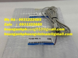 Thiết bị cảm biến áp suất điện ps1000-r06l-q smc