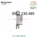 Cầu chì bussmann 170m1319 size din 43