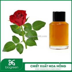 Cung cấp chiết xuất hoa hồng - nguyên liệu mỹ phẩm thiên nhiên