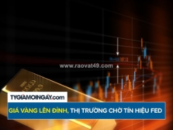 Giá vàng lên đỉnh 3 tháng, thị trường chờ tín hiệu fed